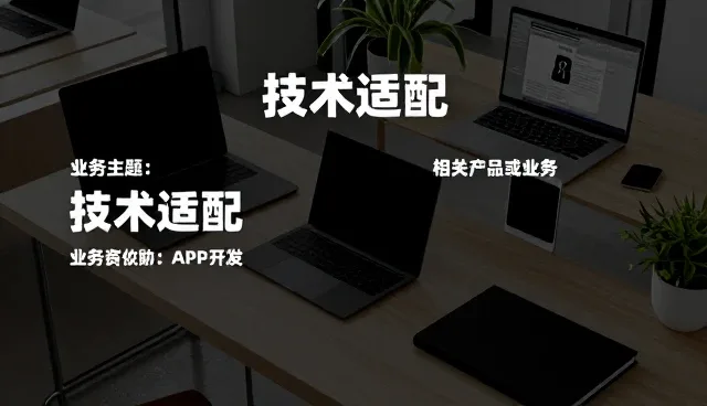 技术适配中的常见问题及处理策略分析